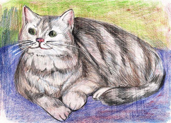 Рисунки косой кот (42 фото)