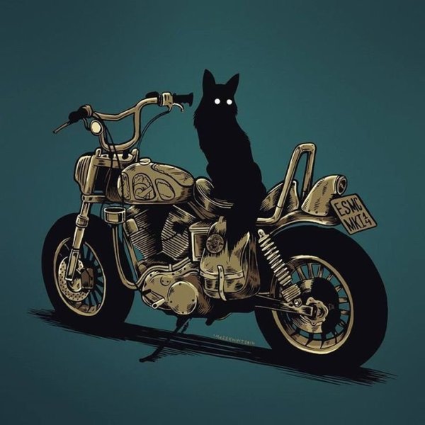 Рисунки кот на мотоцикле (43 фото)