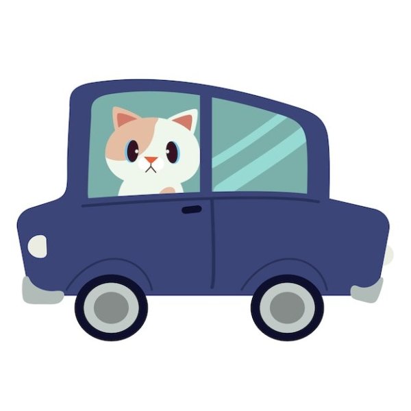 Рисунки кот за рулем (42 фото)