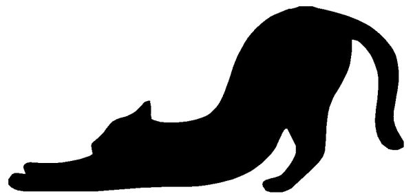 Рисунки кота с выгнутой спиной (38 фото)