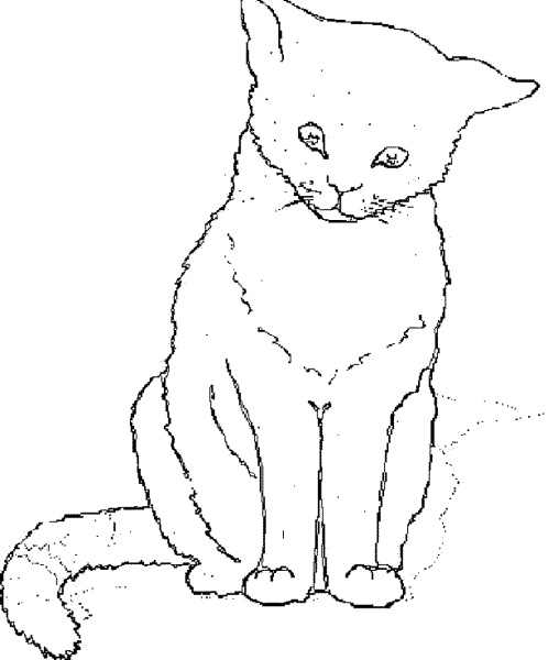 Рисунки котенок сидячий (39 фото)