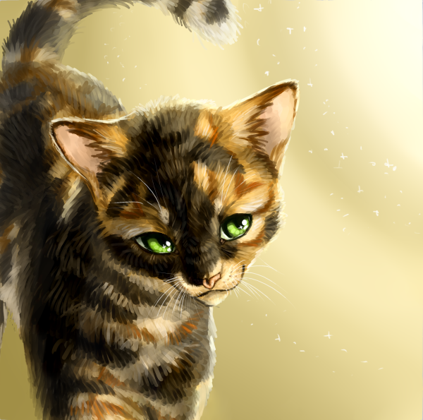 Рисунки коты воители с именами (45 фото)