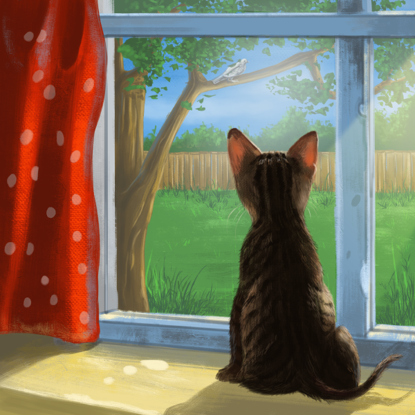 Рисунки котик дома (42 фото)