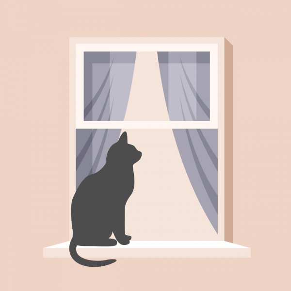 Рисунки котик на подоконнике (40 фото)