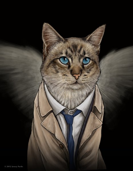 Рисунки котик супергерой (40 фото)