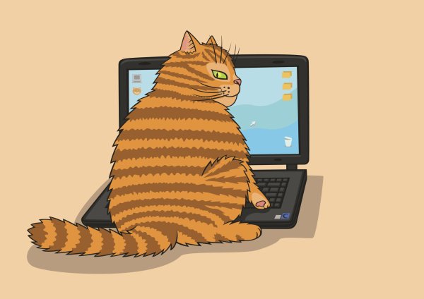 Рисунки котик за компьютером (44 фото)