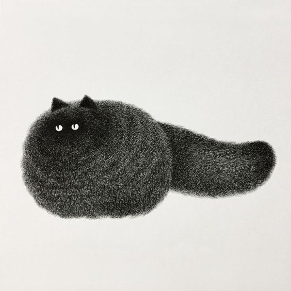 Рисунки кудрявый кот (43 фото)