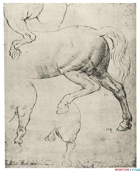 Рисунки леонардо да винчи лошади (45 фото)