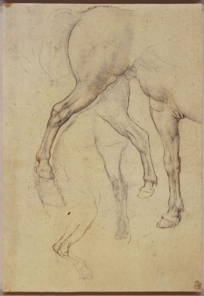 Рисунки лошадь да винчи (45 фото)