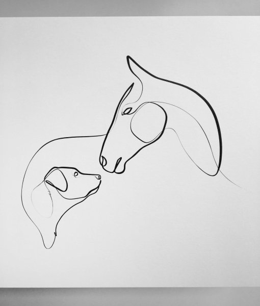 Рисунки лошадь минималистичный (39 фото)