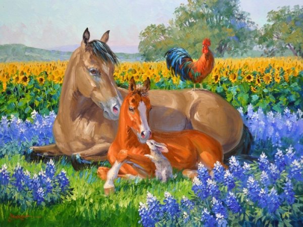 Рисунки лошадь в поле (39 фото)