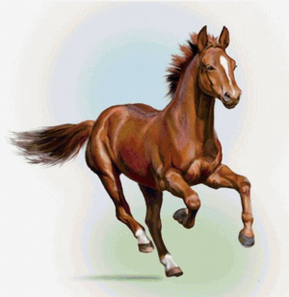 Рисунки лошадь в полете (40 фото)