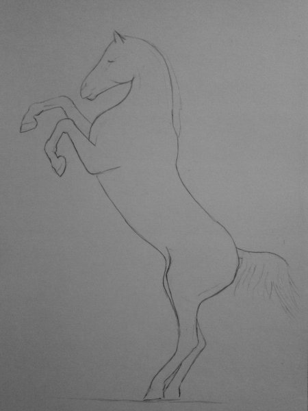 Рисунки лошадь в свечке (38 фото)