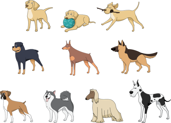 Рисунки породы собак и кошек (41 фото)