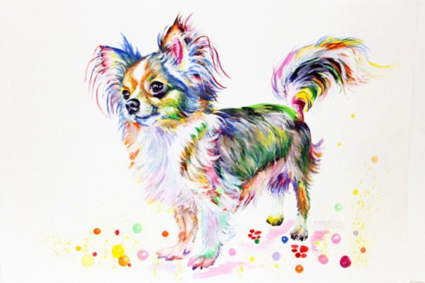 Рисунки разноцветная собака (39 фото)