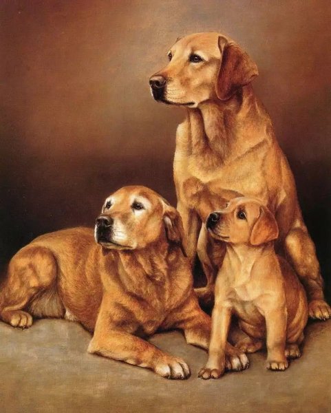 Рисунки семейство собак (42 фото)