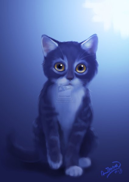 Рисунки синий котенок (45 фото)