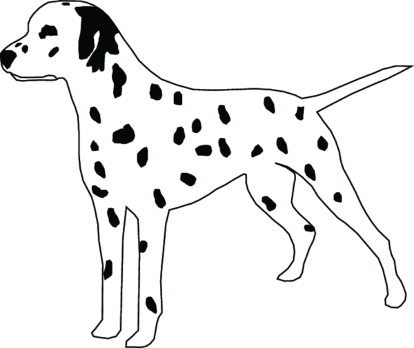 Рисунки собака далматинец (40 фото)