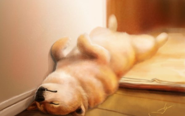 Рисунки собака лежит на животе (26 фото)