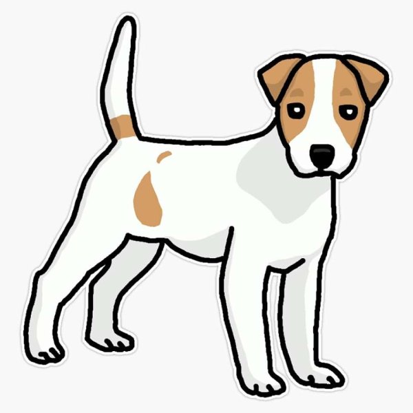 Рисунки собаки породы джек рассел терьер (42 фото)