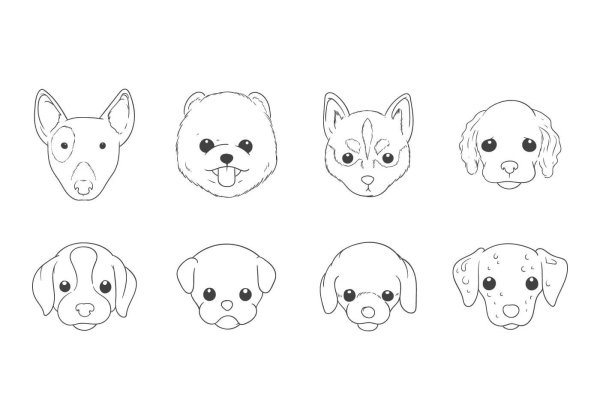 Рисунки собаки в фас (42 фото)
