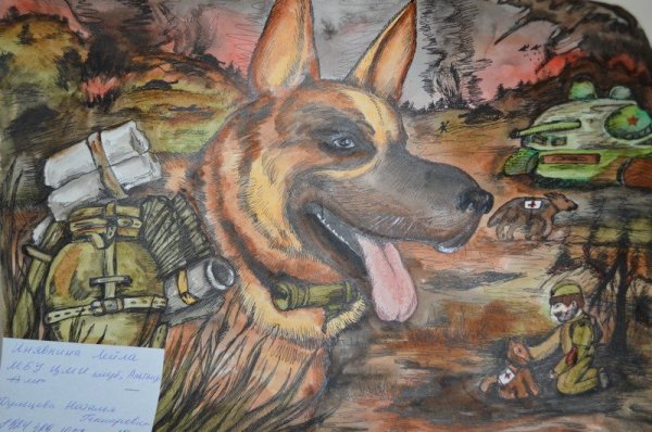 Рисунки собаки в вов (41 фото)