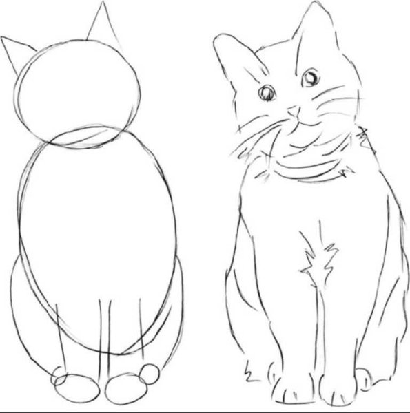 Рисунки среднего кота (43 фото)
