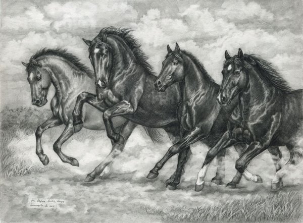 Рисунки тувинские лошади (42 фото)