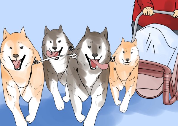 Рисунки упряжки ездовых собак (35 фото)