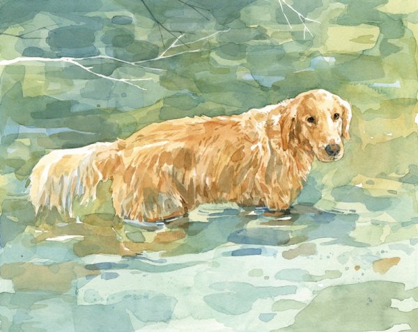 Рисунки золотой собаки (43 фото)