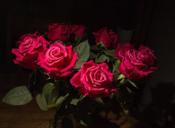 Розы на фоне дома (44 фото)