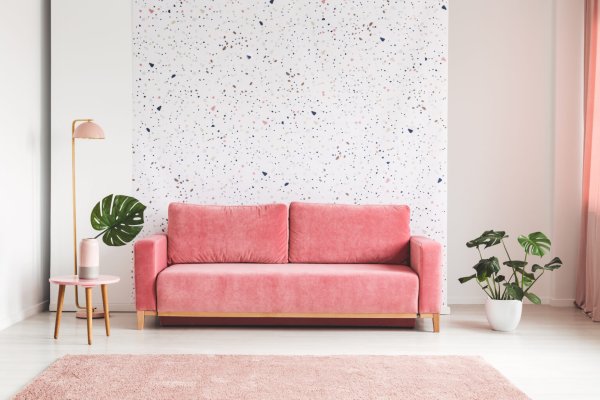 Розовый диван на фоне розовой стены (45 фото)