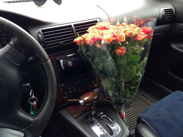Тюльпаны на фоне машины (41 фото)