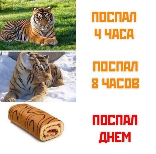 Мем поспал днем тигр