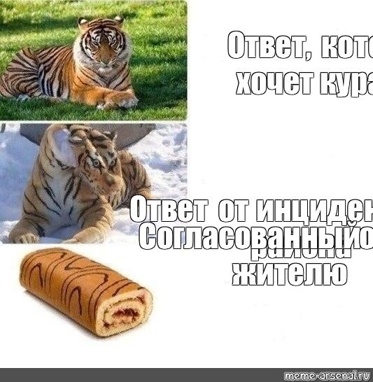 Рулет мем. Мемы с тигром и рулетом. Тигр рулет Мем. Тигр Мем. Мем с тигриным рулетом.