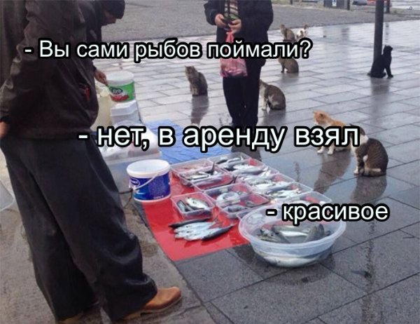 Мем про Рыбов
