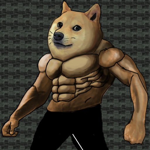 Dog качок