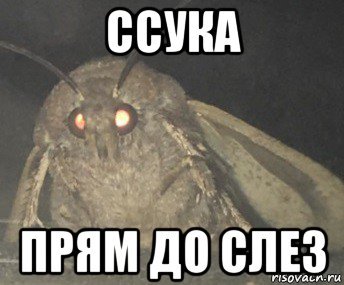 Слёз Мем