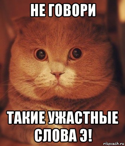 Картинка ты говоришь что