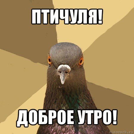 Картинка с добрым утром мем