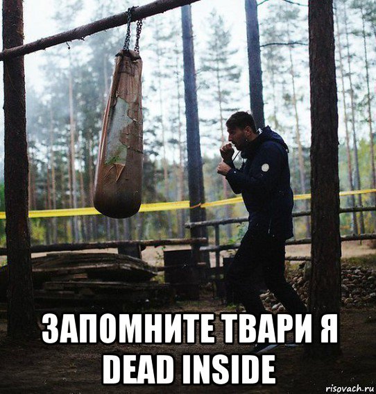 Субкультура Dead inside