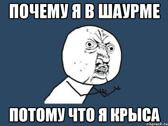 Да я крыса Мем