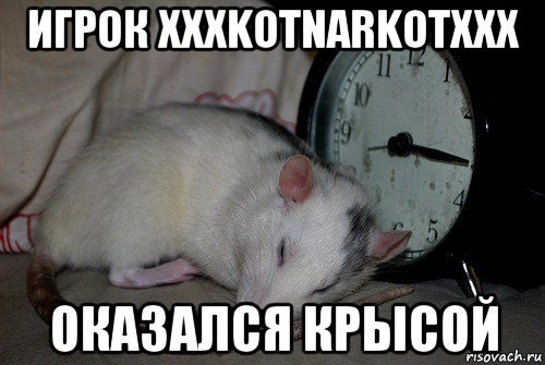 Да я крыса Мем
