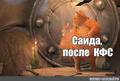 Кот в сапогах мемы