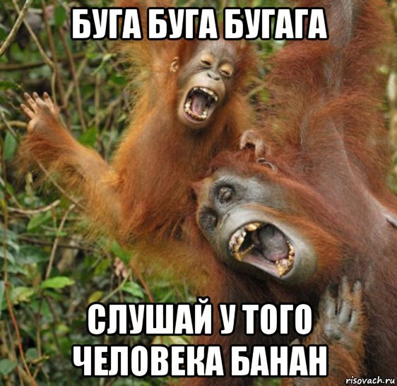 УГА БУГА Мем