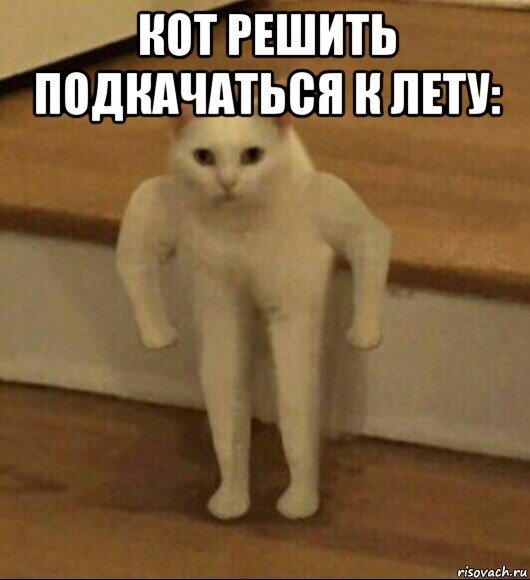 Подкачался Мем