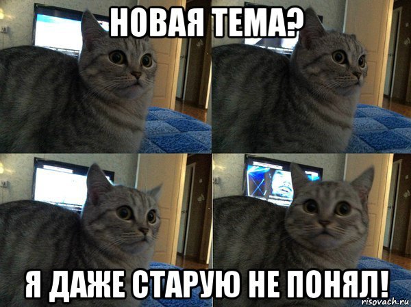 Кот в шоке Мем