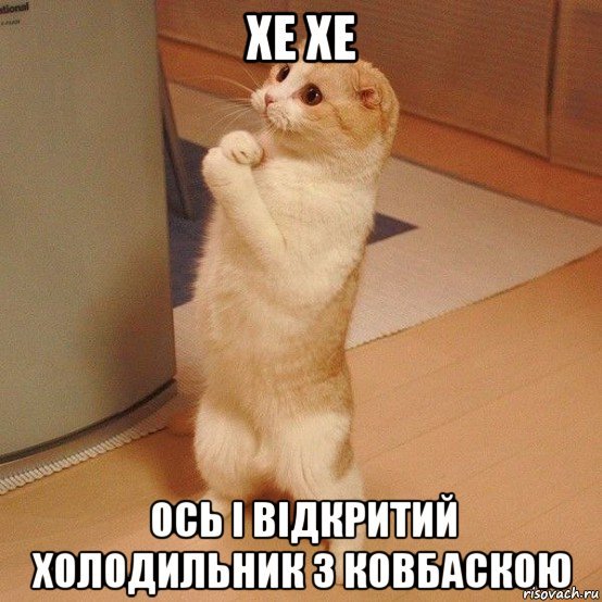 Котик Хе Хе