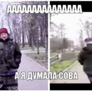 Бабка а я думала Сова