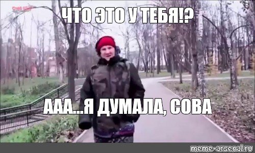 А Я думала Сова